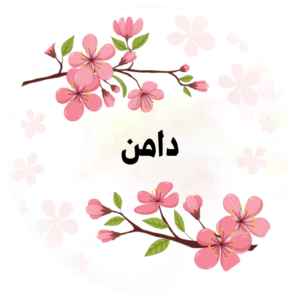 دامن