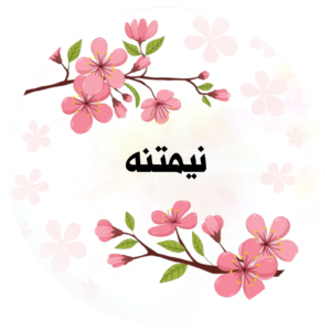 نیم تنه