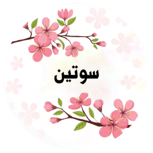 سوتین