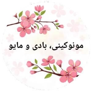 مونوکینی، بادی و مایو